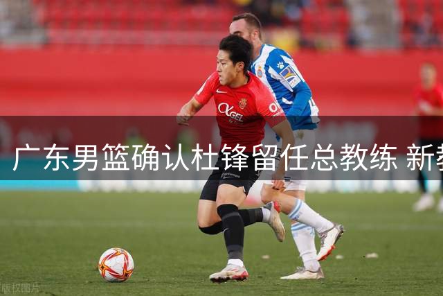 广东男篮确认杜锋留任总教练 新教练组筹建中